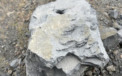 Aktuální skladové zásoby 09/2025