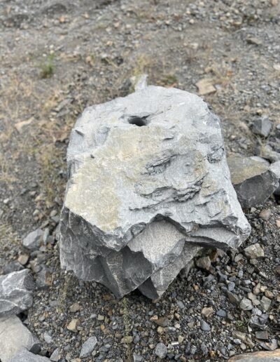 222 ve velke velikosti