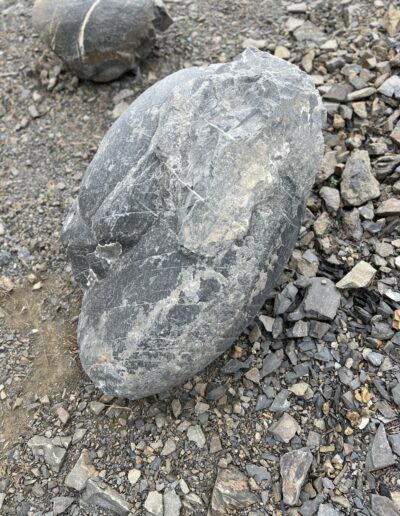 5 ve velke velikosti