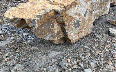 Aktuální skladové zásoby 01/2026