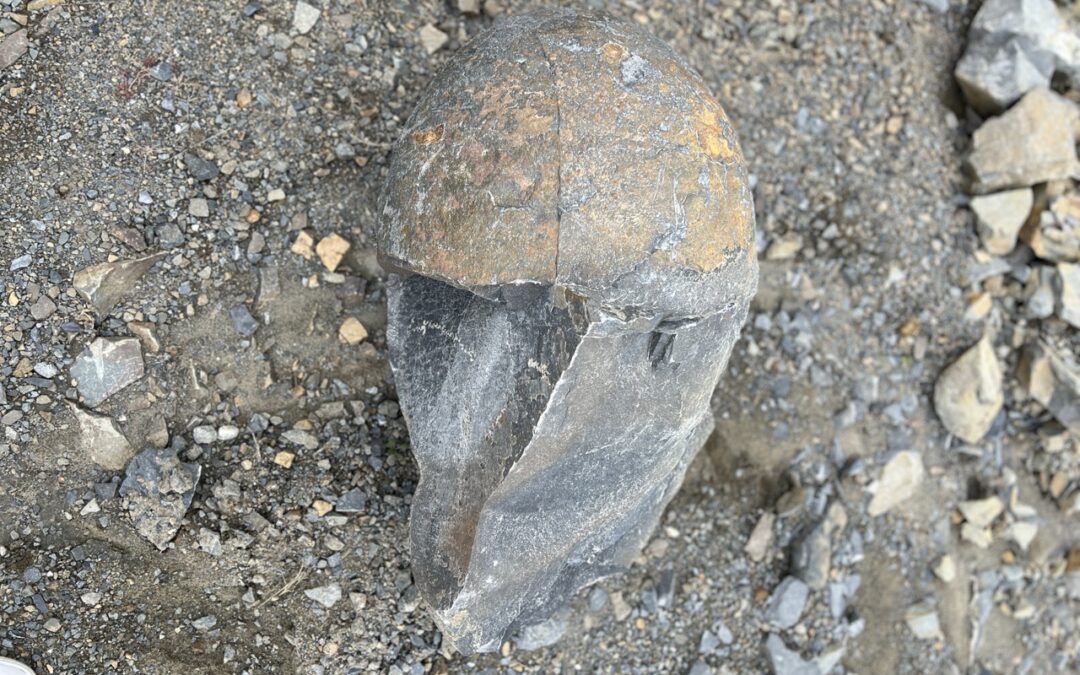 Jak zajišťujeme přepravu kamene