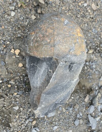 8 ve velke velikosti